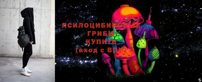 Псилоцибиновые грибы мицелий  Княгинино 